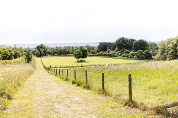Dog Walking Path